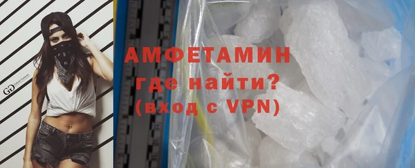 шишки Верея