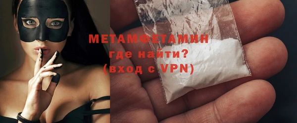 шишки Верея