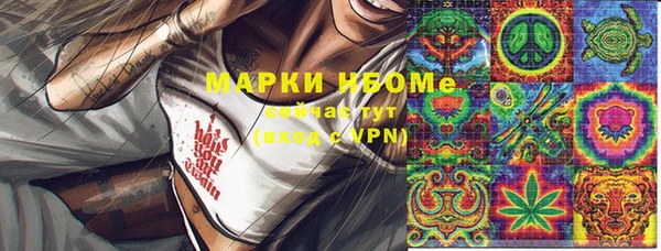 шишки Верея