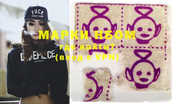шишки Верея