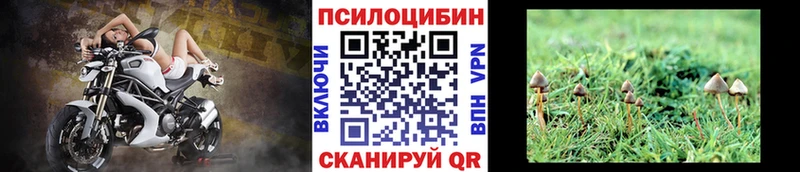Псилоцибиновые грибы ЛСД Тбилисская