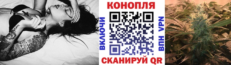 Бошки Шишки гибрид  Тбилисская 